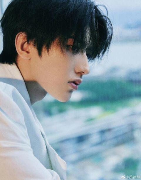 蔡徐坤考古爆料视频,揭秘偶像背后的真实故事  第3张